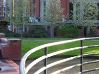 University Center